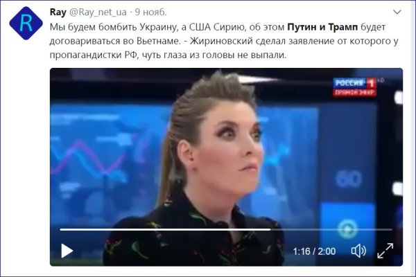 Ольга Скобеева пропагандистка