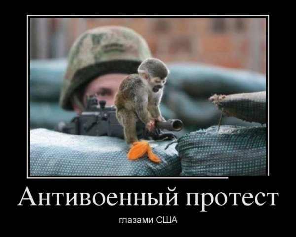 Обезьяна демотиватор