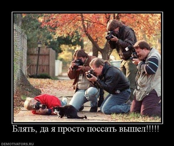 Пацифизм демотиватор