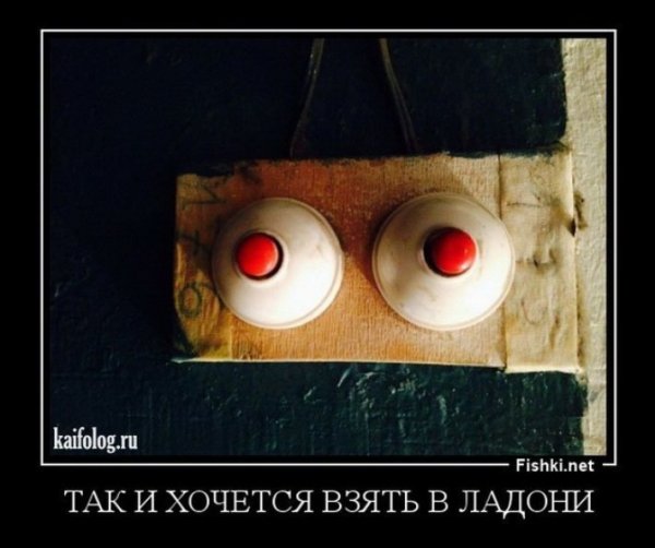 Фишки демотиваторы