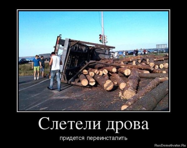 Дрова демотиваторы