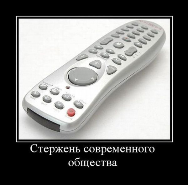 Кот психанул демотиватор