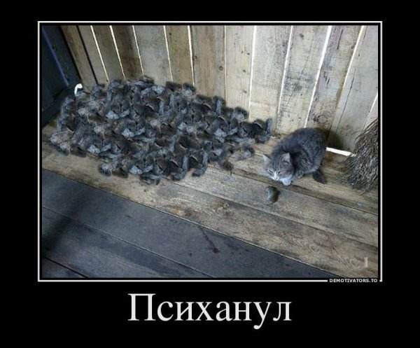 Демотиваторы про водителей