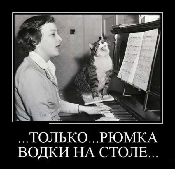 Только Рюмка водки на столе