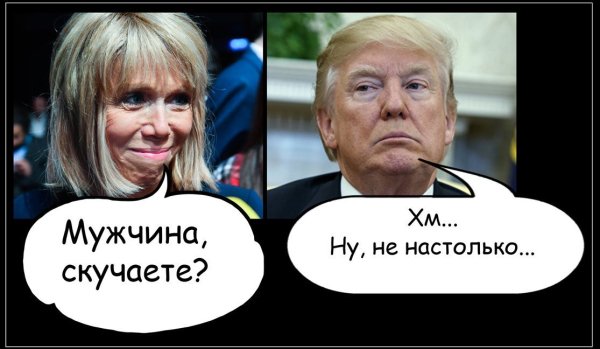 Алексей Панин и Макрон