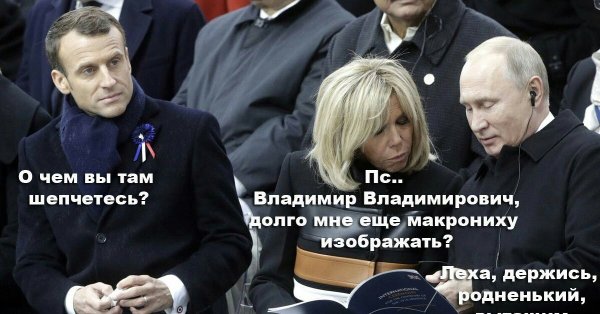 Приколы про посадку деревьев