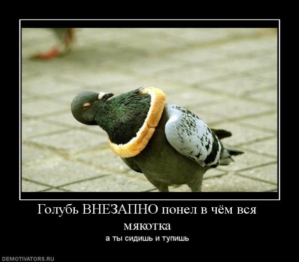 Хитрый хлеб