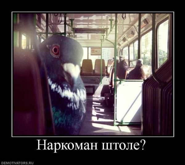 Наркоманские демотиваторы