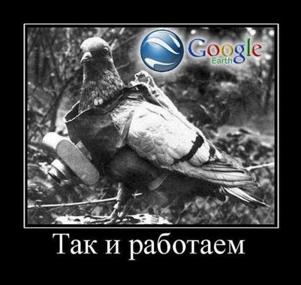 Как же так демотиватор