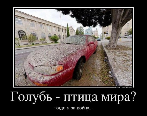 Самые ржачные демотиваторы в мире
