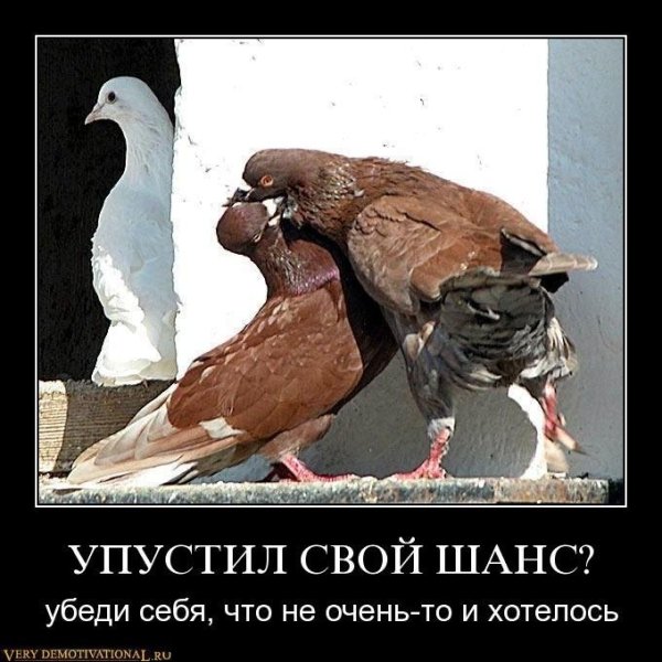 Упустил свой шанс