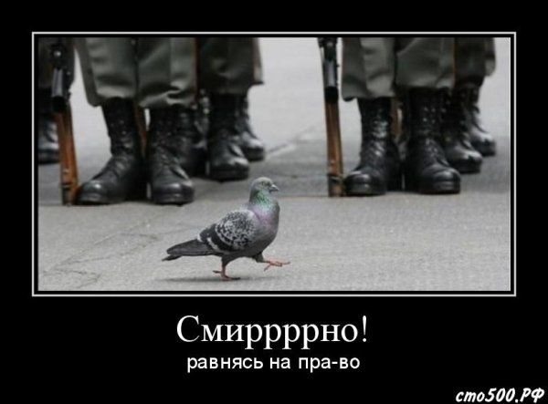 Подонок демотиватор