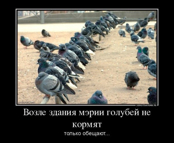 Голубой юмор