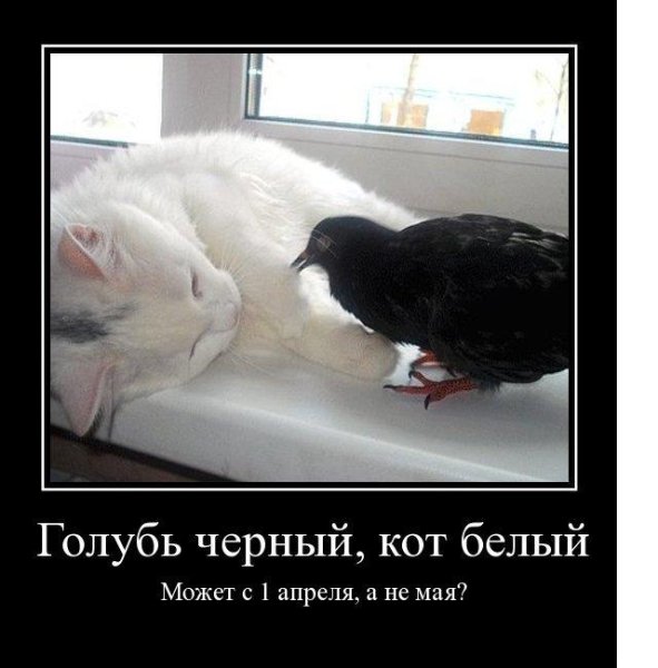 1 Апреля демотиваторы