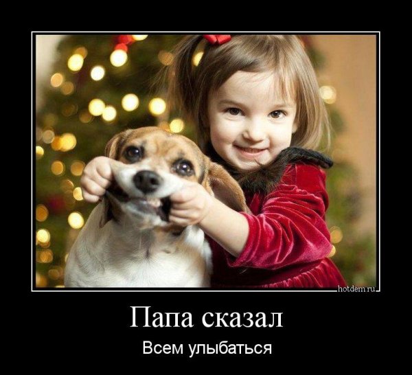 Мотиваторы про собак