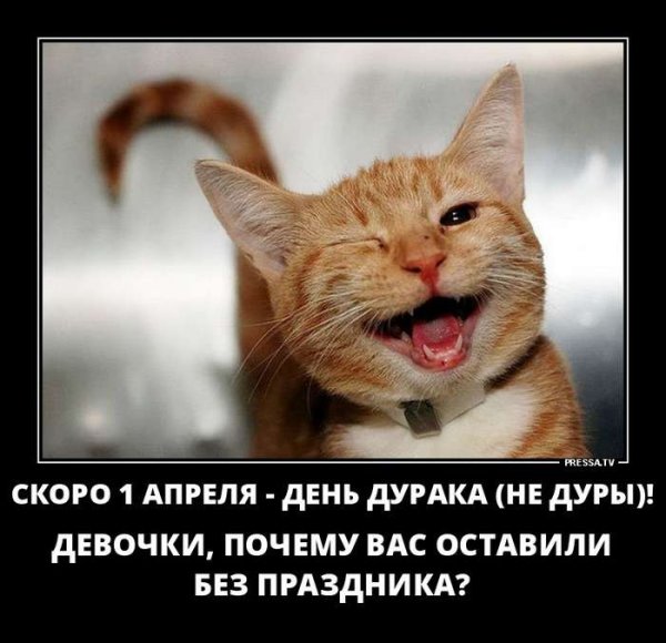 Демотиваторы отличное настроение