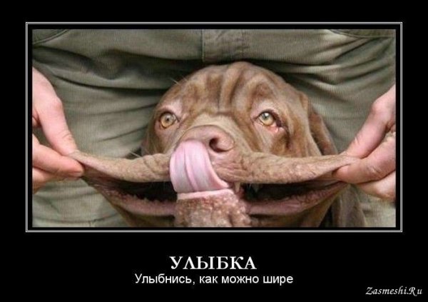 Демотиваторы про улыбку