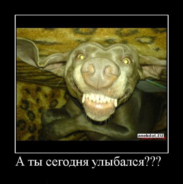 А ты сегодня улыбался
