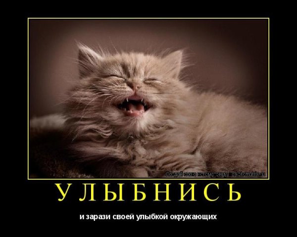 Улыбнись прикол
