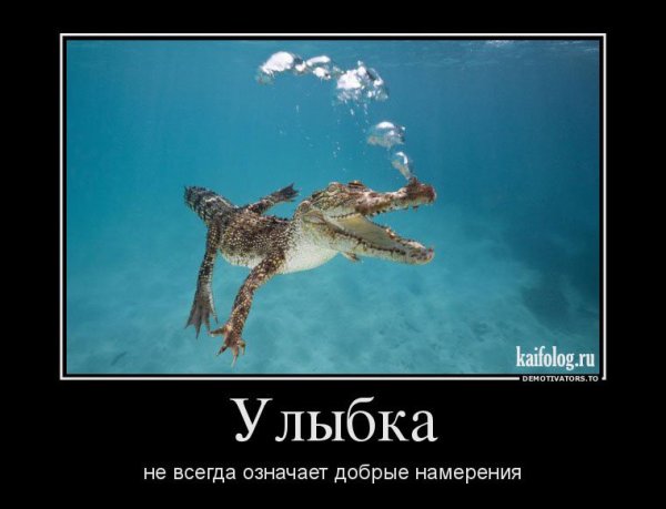 Очень смешные демотиваторы