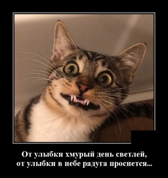 Демотиваторы смешные