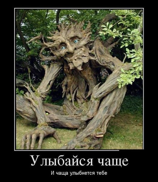 Улыбайся чаще и чаща