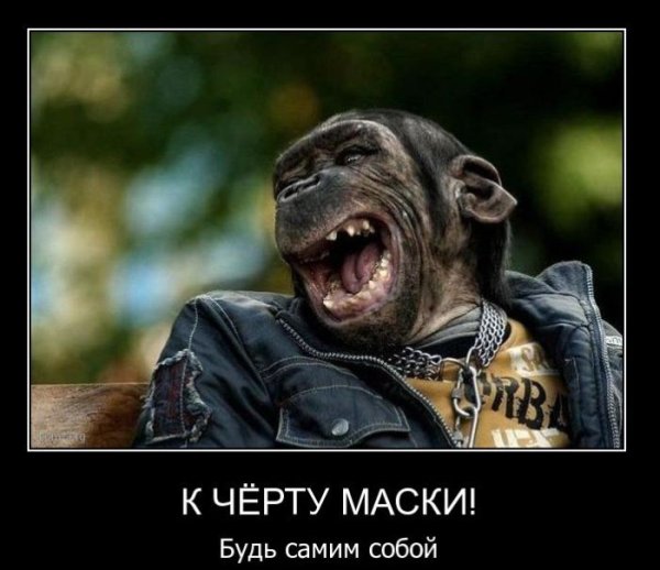 Обезьяна демотиватор