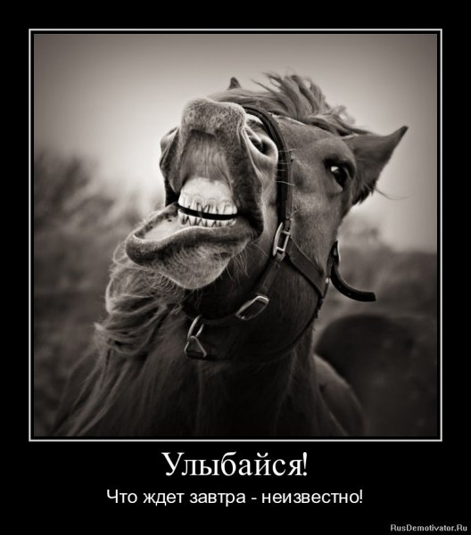 Демотиваторы улыбнись