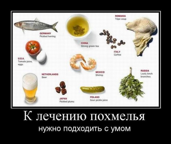 Похмелье приколы
