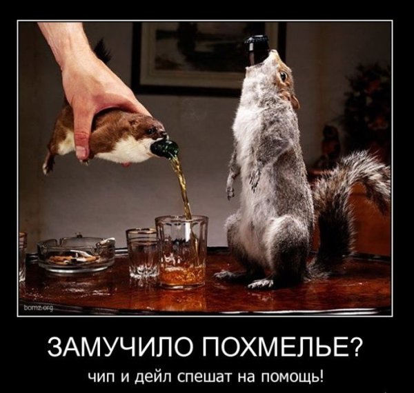 Похмелье приколы