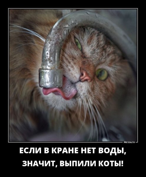 Фото человека с бодуна