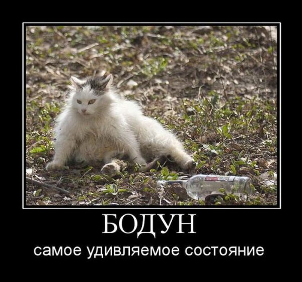 Демотиваторы с бодуна