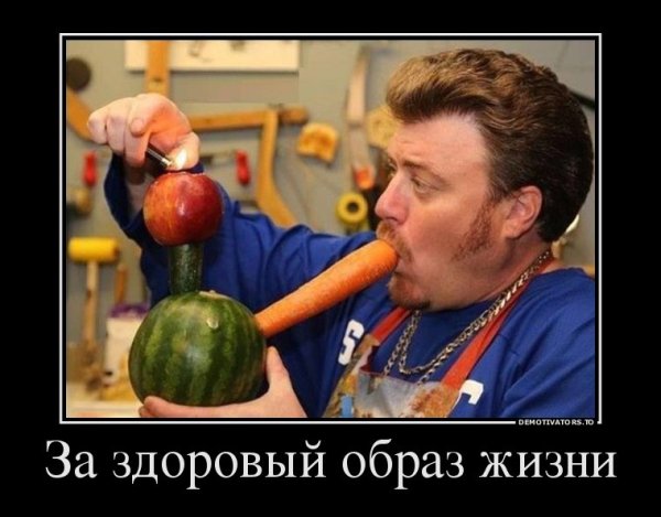 Приколы про здоровый образ жизни