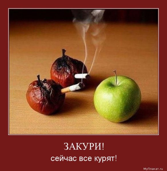 Демотиваторы бросить курить