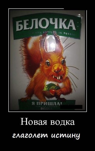 Белочки и белки демотиватор