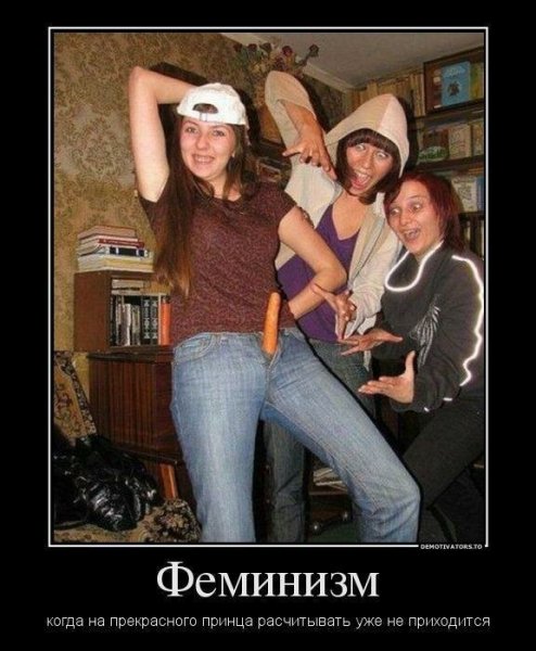 Демотиваторы про феминисток