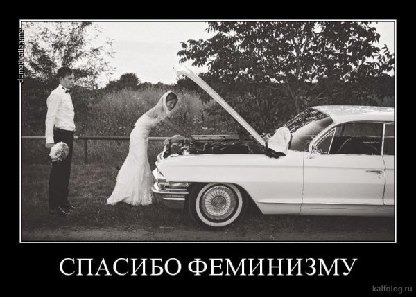 Феминистки карикатура