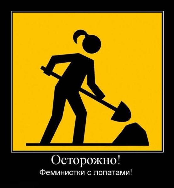 Демотиваторы про феминисток