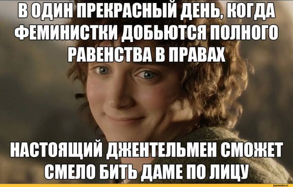 Демотиваторы про феминисток