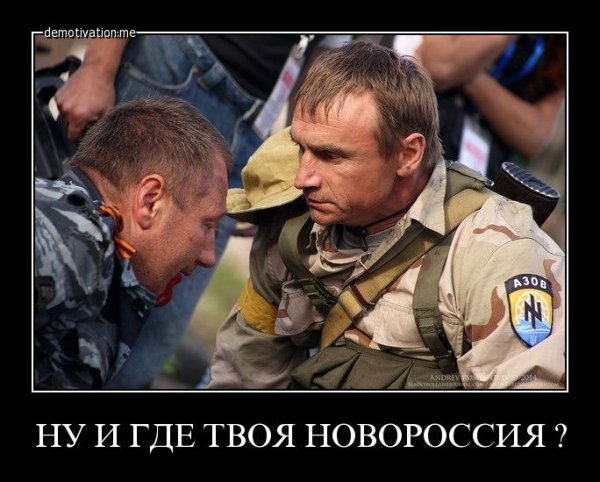 Новороссия демотиваторы