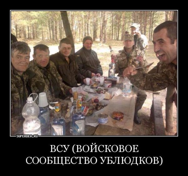 Украинская армия демотиваторы