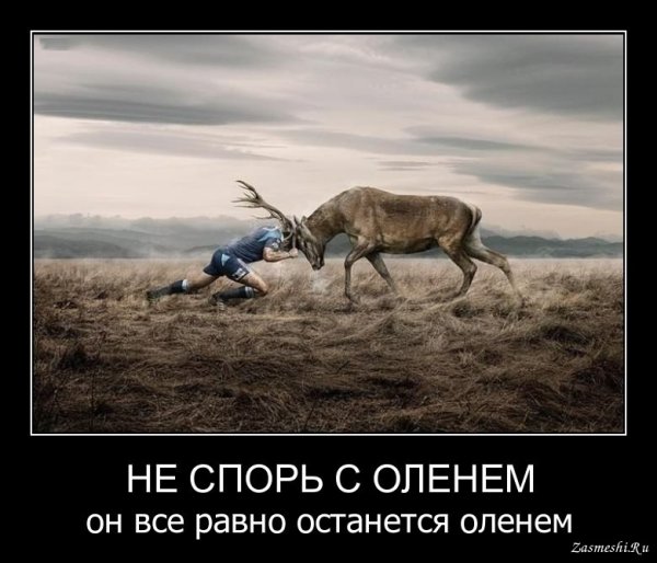 Мотиватор и демотиватор