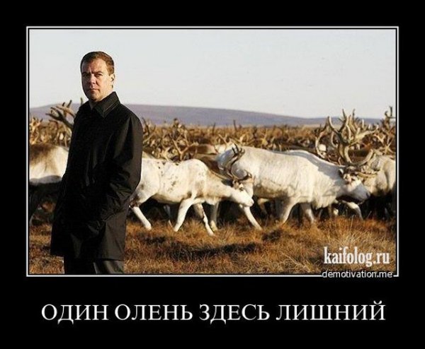 Оленевод прикольные