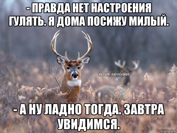 Я олень