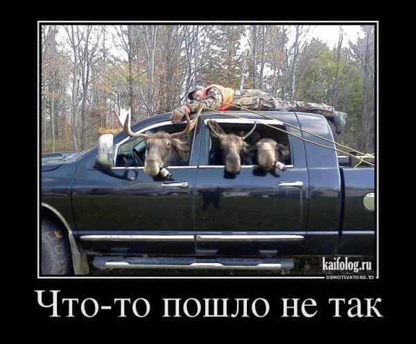 Приколы на охоте