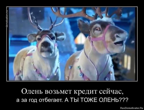 Ты олень