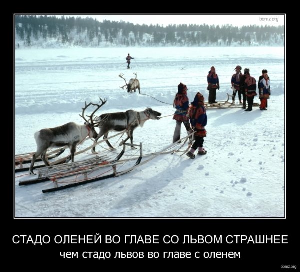 Олений хоровод