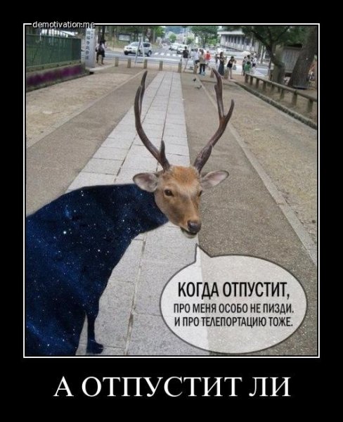 Олень прикол