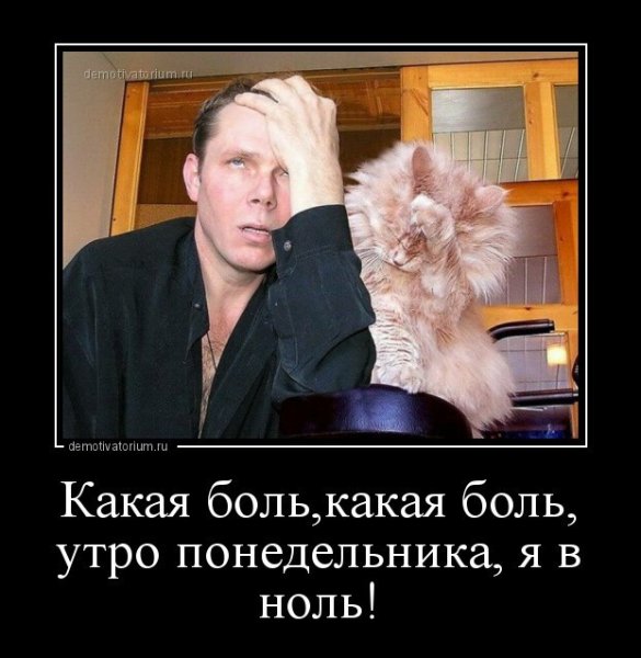 Демотиваторы нулевых