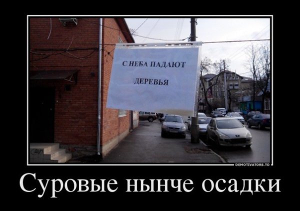 Игорь демотиватор